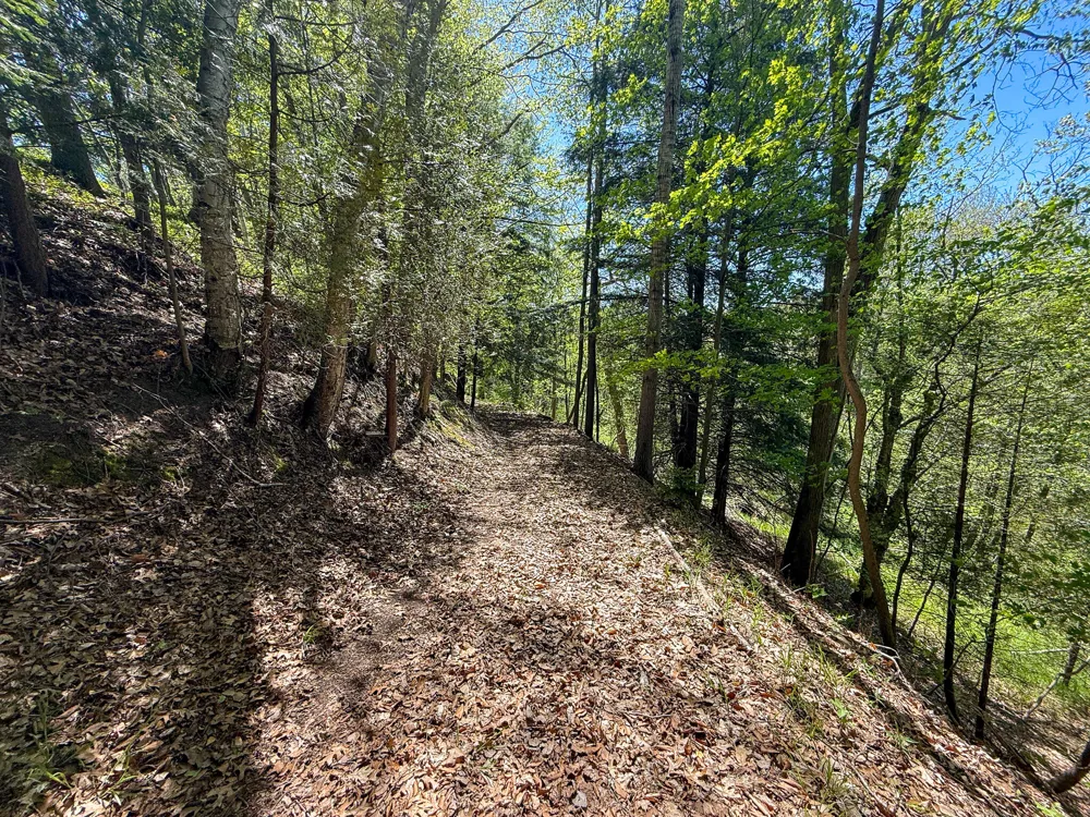 1583 Dennis Road Amber Township, MI 49431