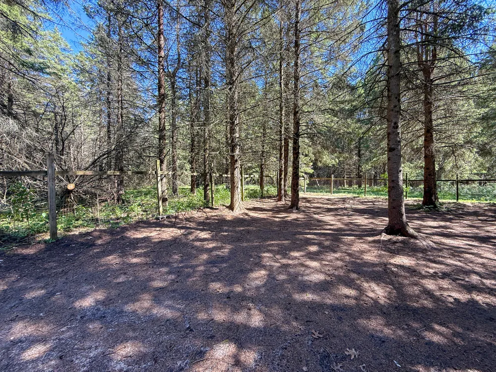 1583 Dennis Road Amber Township, MI 49431