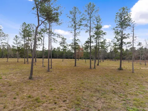 4 Fm 3152 Road