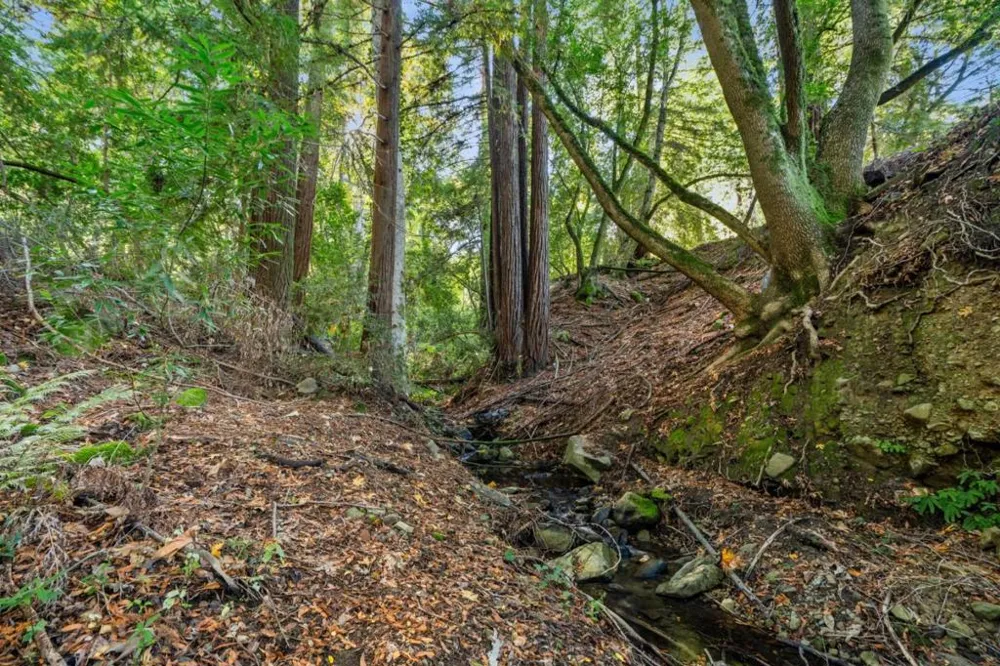 24106 Deerpath Road Saratoga, CA 95070