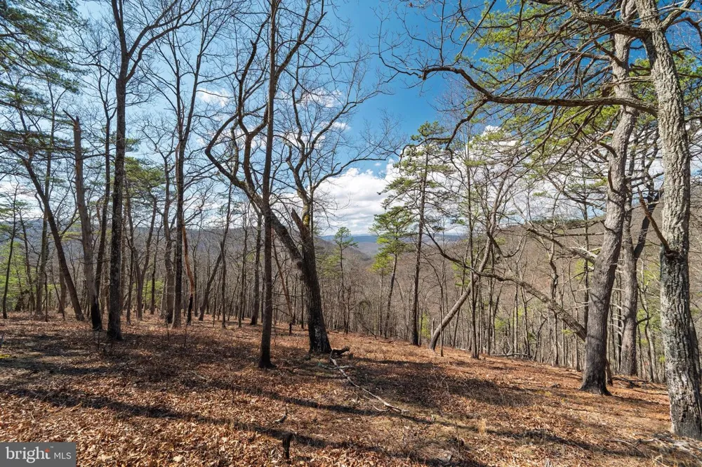 HUNTERS RIDGE TRAIL Moorefield, WV 26836