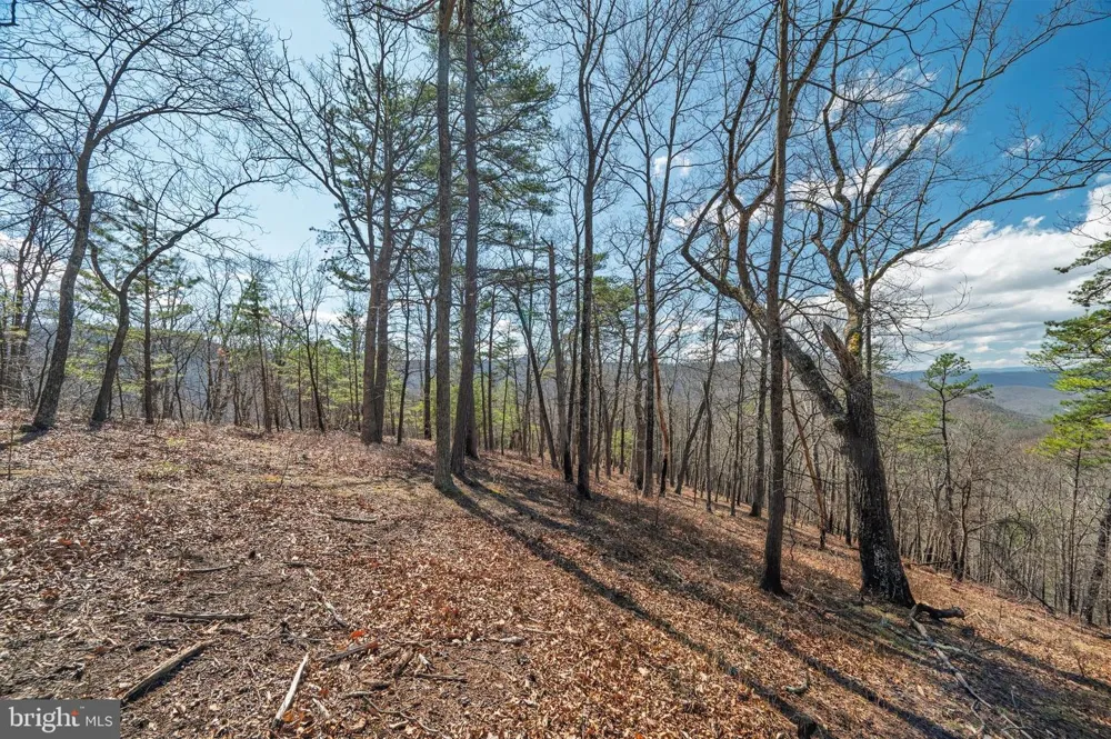 HUNTERS RIDGE TRAIL Moorefield, WV 26836