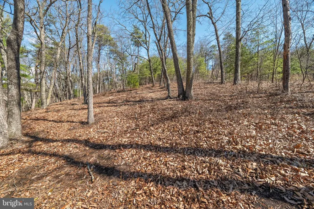 HUNTERS RIDGE TRAIL Moorefield, WV 26836