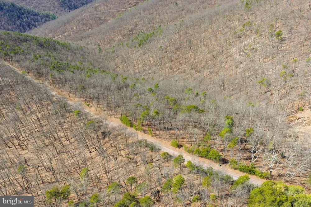 HUNTERS RIDGE TRAIL Moorefield, WV 26836