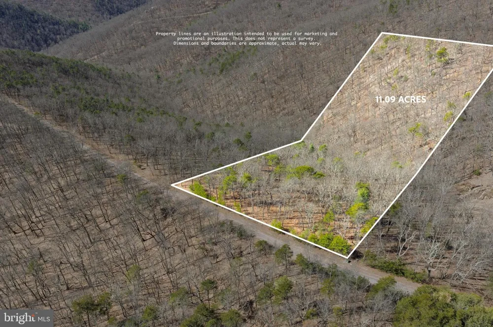 HUNTERS RIDGE TRAIL Moorefield, WV 26836