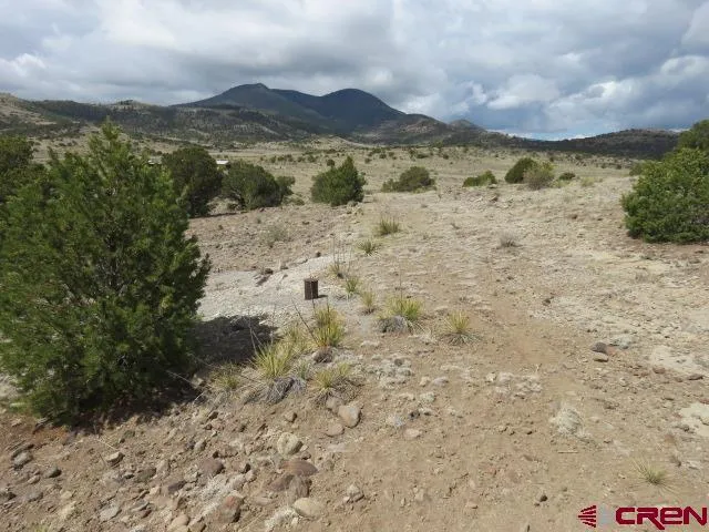 274 Antelope Trail Del Norte, CO 81132