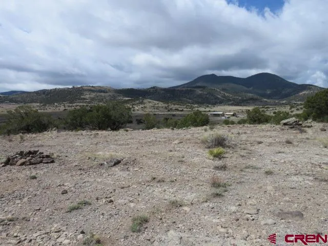 274 Antelope Trail Del Norte, CO 81132