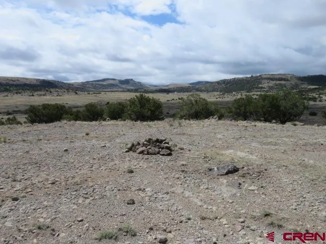 274 Antelope Trail Del Norte, CO 81132