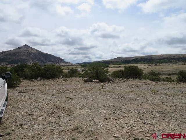 274 Antelope Trail Del Norte, CO 81132