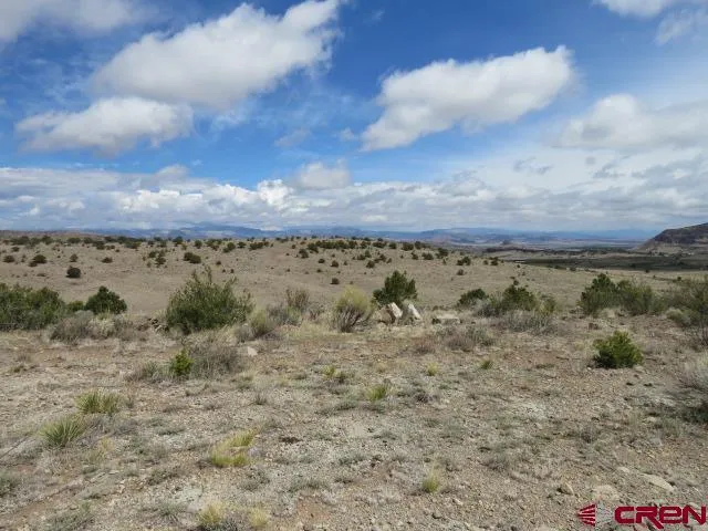 274 Antelope Trail Del Norte, CO 81132