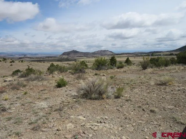 274 Antelope Trail Del Norte, CO 81132