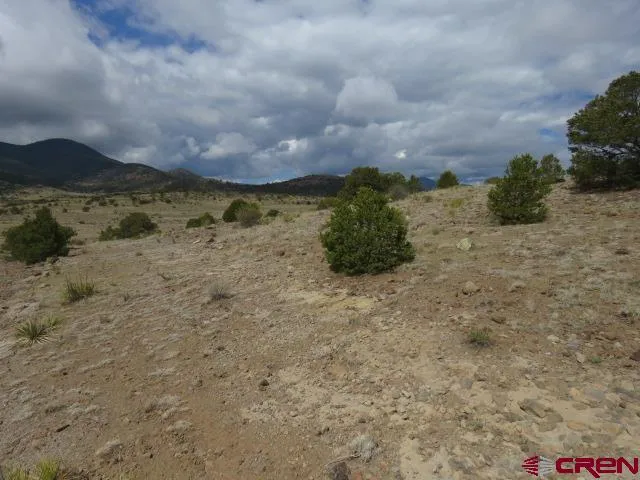 274 Antelope Trail Del Norte, CO 81132