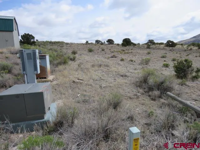 274 Antelope Trail Del Norte, CO 81132