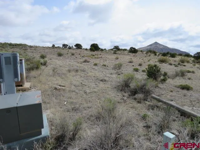 274 Antelope Trail Del Norte, CO 81132