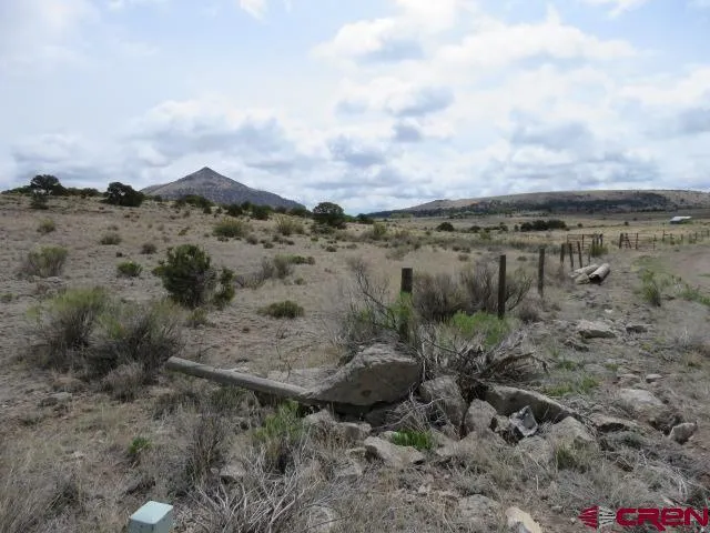 274 Antelope Trail Del Norte, CO 81132