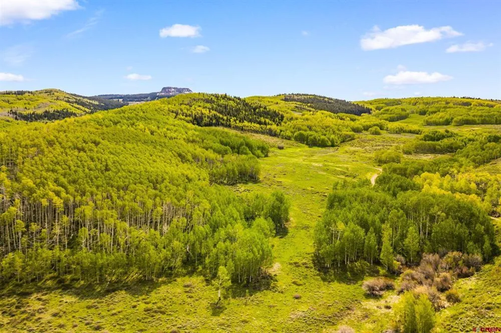 725 Red Mountain Ranch Road Crested Butte, CO 81224