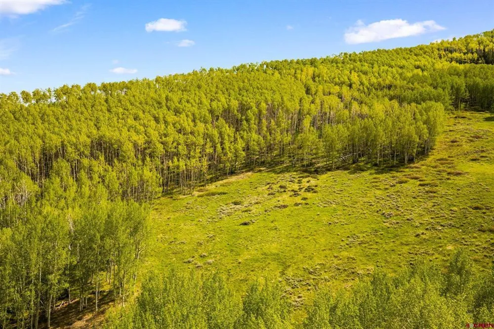 725 Red Mountain Ranch Road Crested Butte, CO 81224