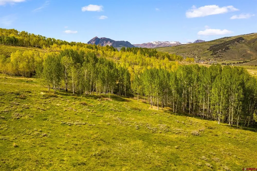 725 Red Mountain Ranch Road Crested Butte, CO 81224