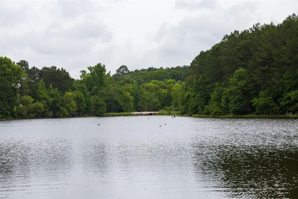 4123 Farm to Market Road 752 S Rusk, TX 75785
