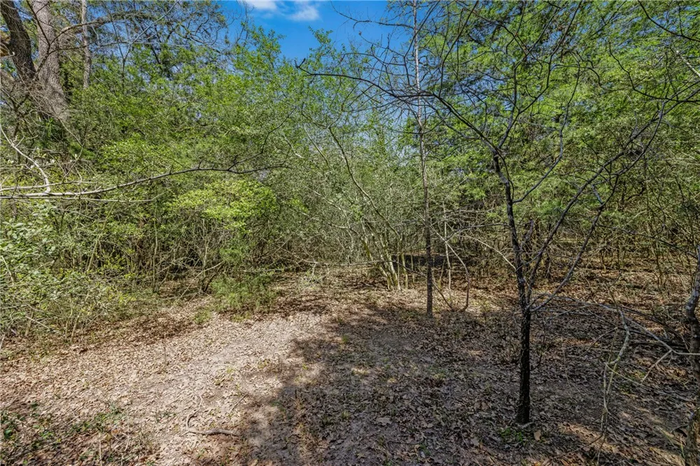 County Road 377 Marquez, TX 77865
