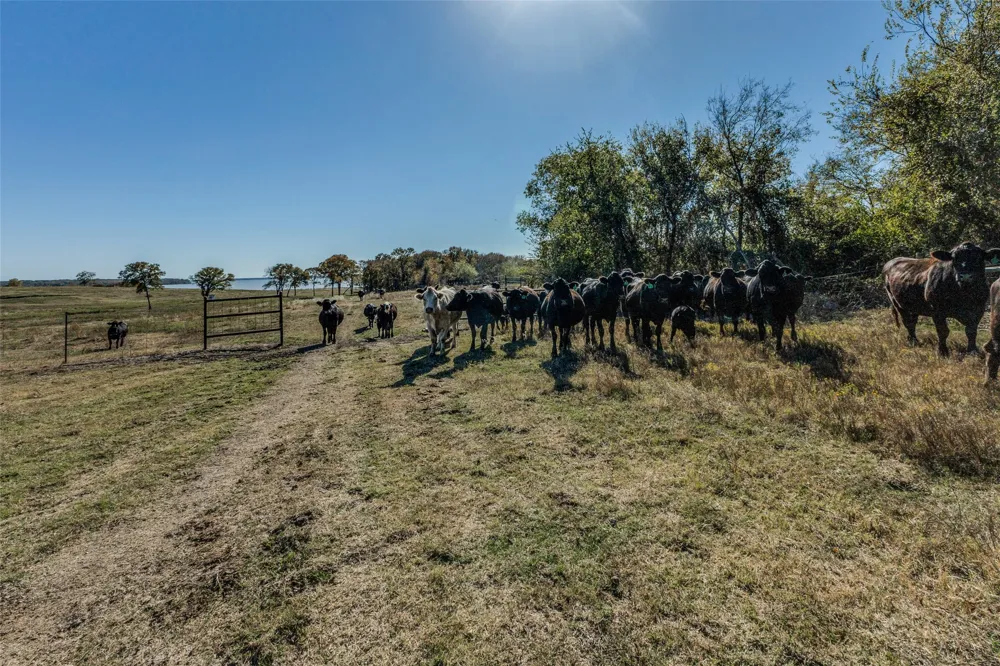 15675 County Road 4024 Kemp, TX 75143