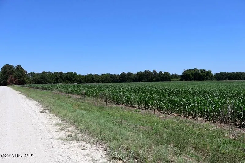 Tbd Sand Rock Road Fairmont, NC 28340