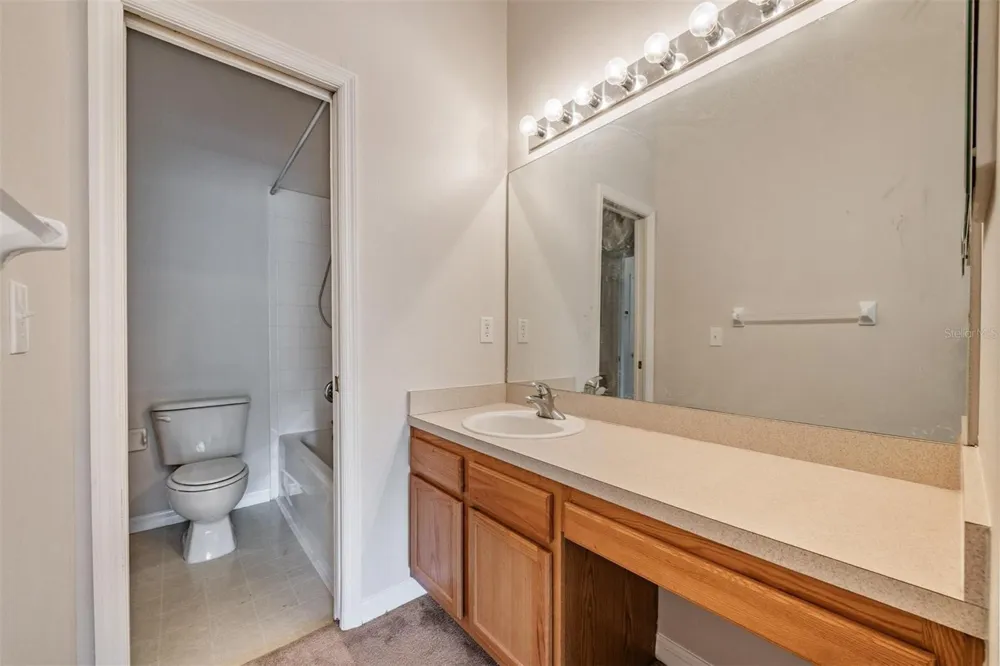 2461 EARLSWOOD COURT Brandon, FL 33510