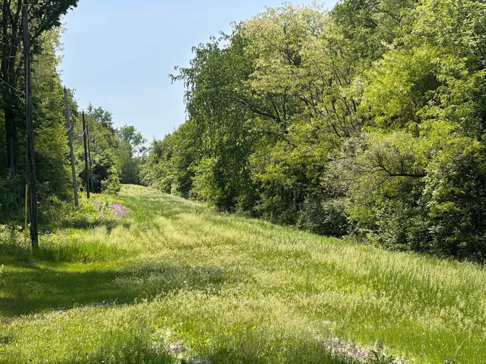 TBD Pullman Avenue Saint Paul Park, MN 55071