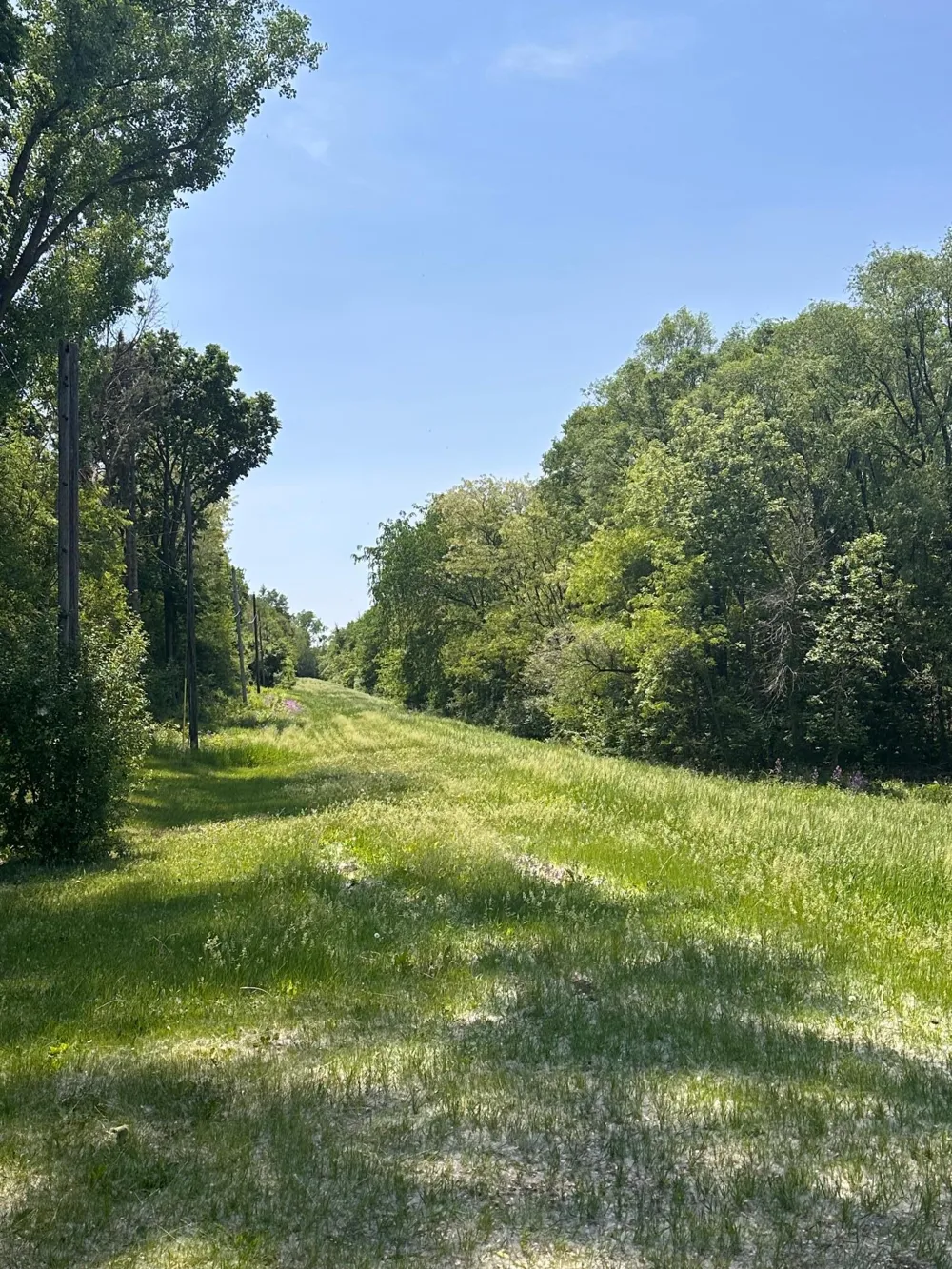 TBD Pullman Avenue Saint Paul Park, MN 55071