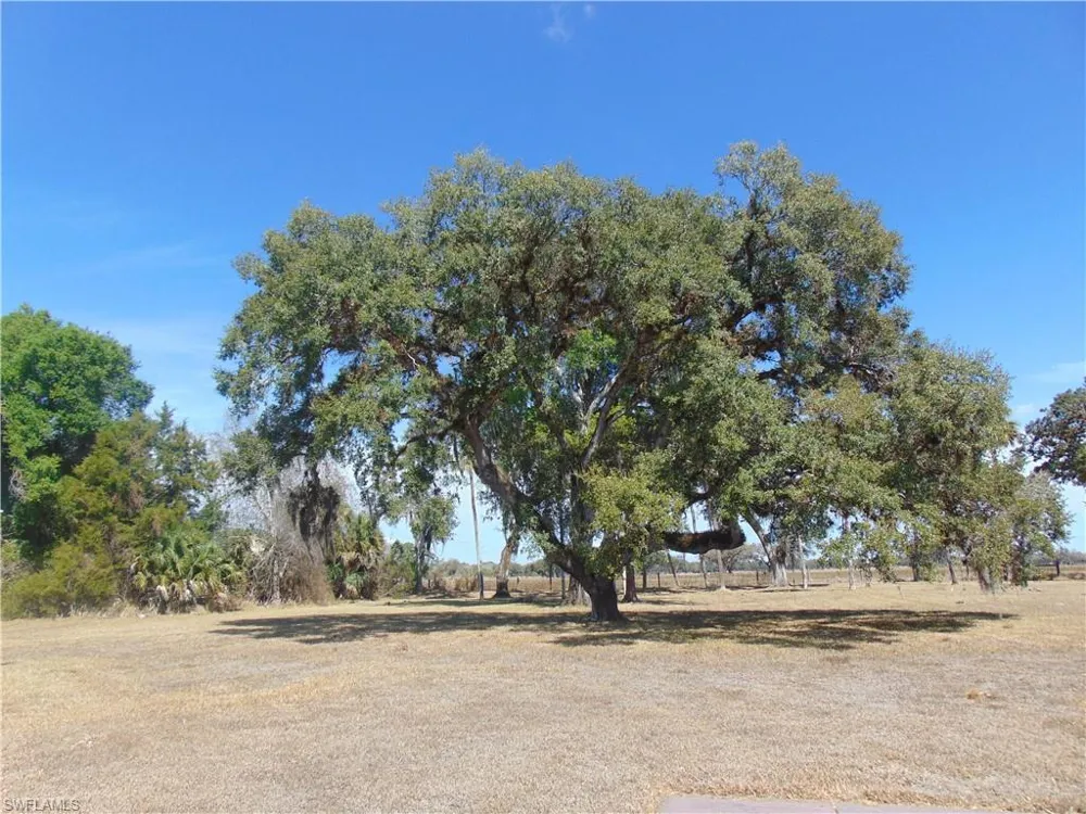 1092 Riverbend Drive Labelle, FL 33935