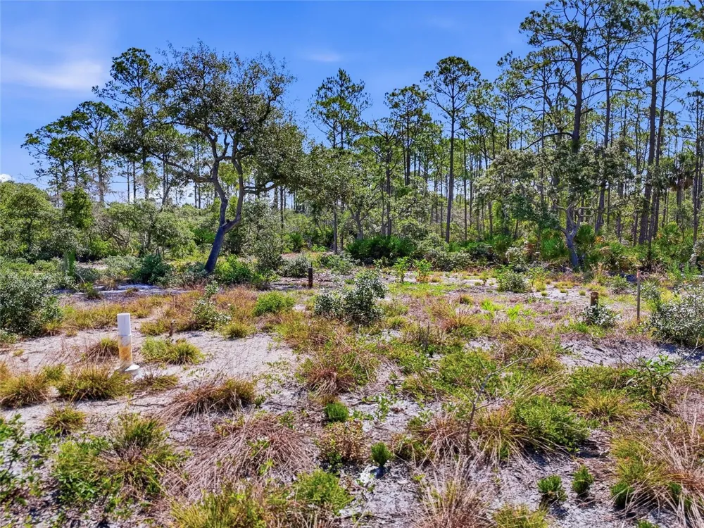 TBD STATE ROAD 24 Cedar Key, FL 32625