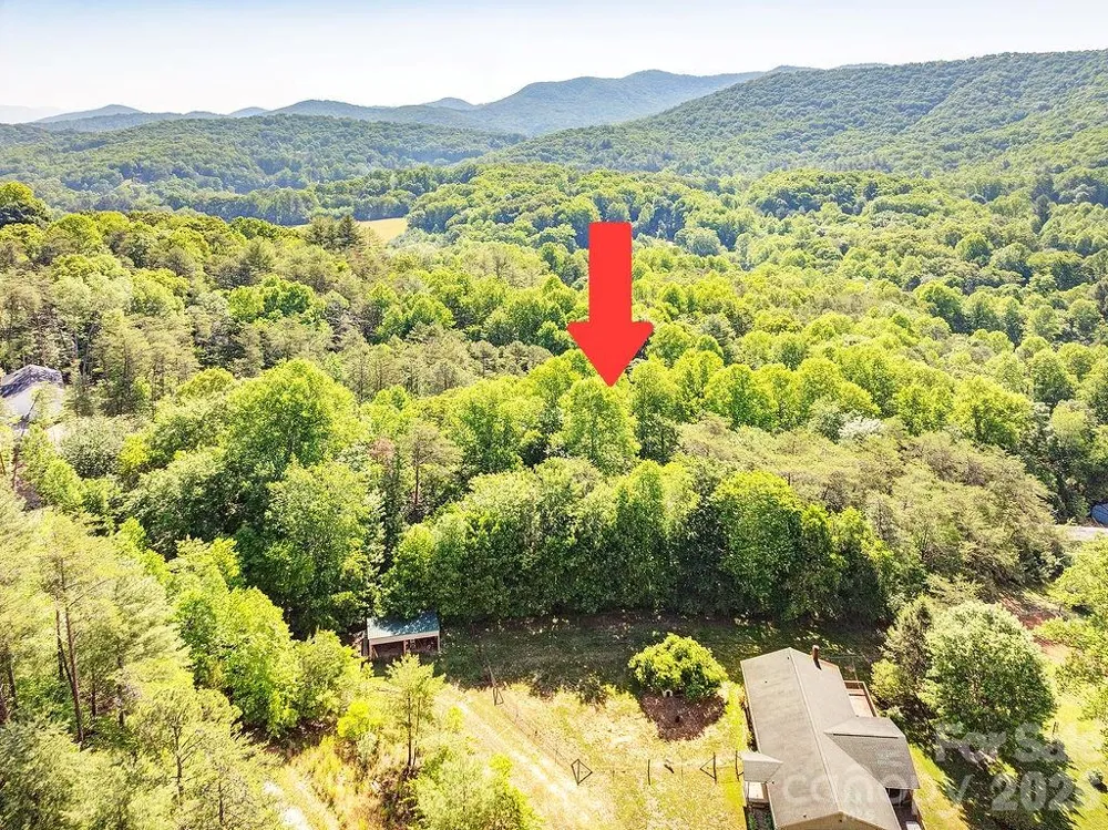 99999 Suddreth Lane Candler, NC 28715