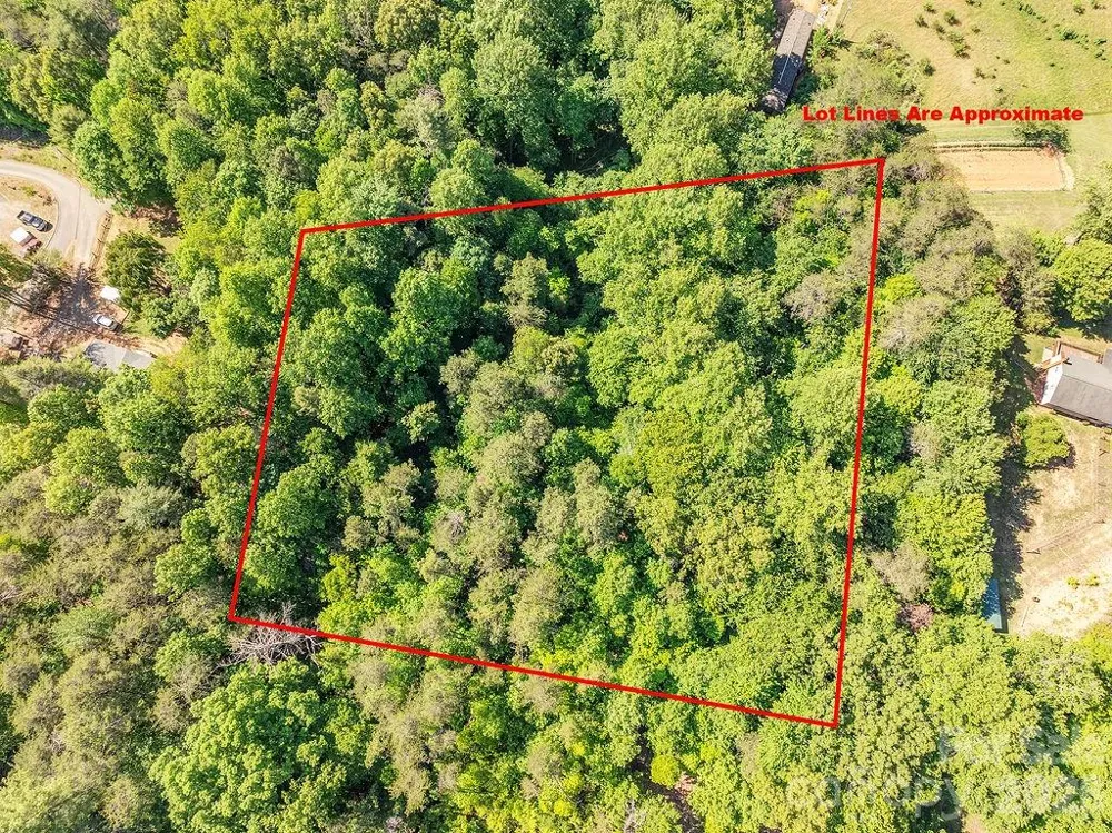 99999 Suddreth Lane Candler, NC 28715