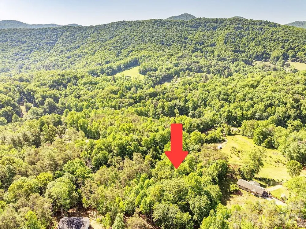 99999 Suddreth Lane Candler, NC 28715