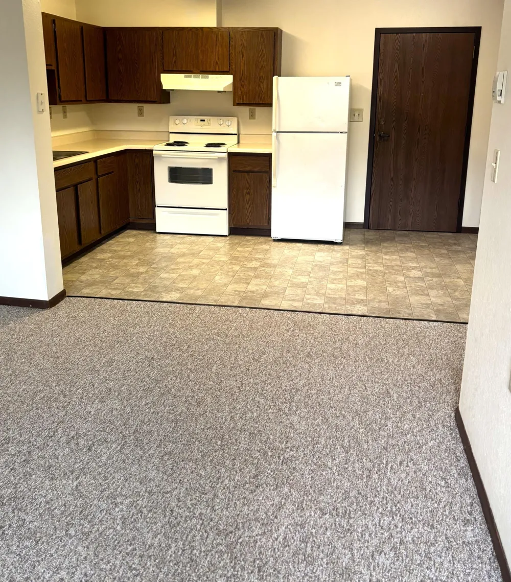 221 E Cavour Avenue Fergus Falls, MN 56537