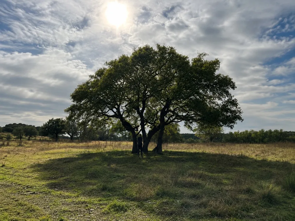 1146 Hidden Cove Trail Glen Rose, TX 76043