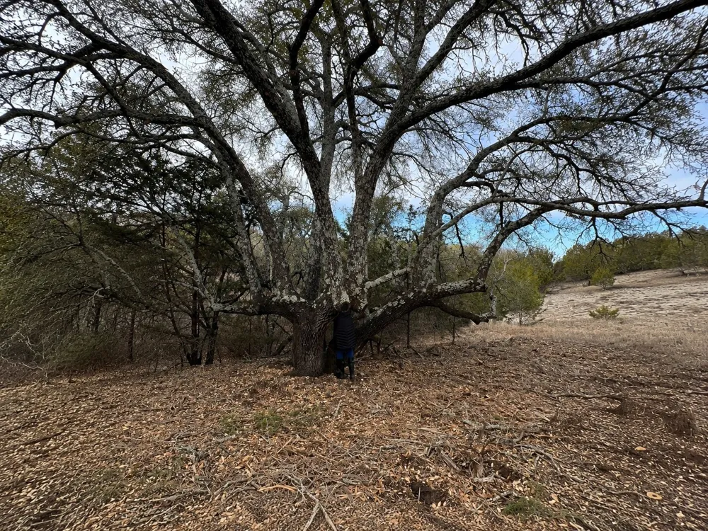 1146 Hidden Cove Trail Glen Rose, TX 76043