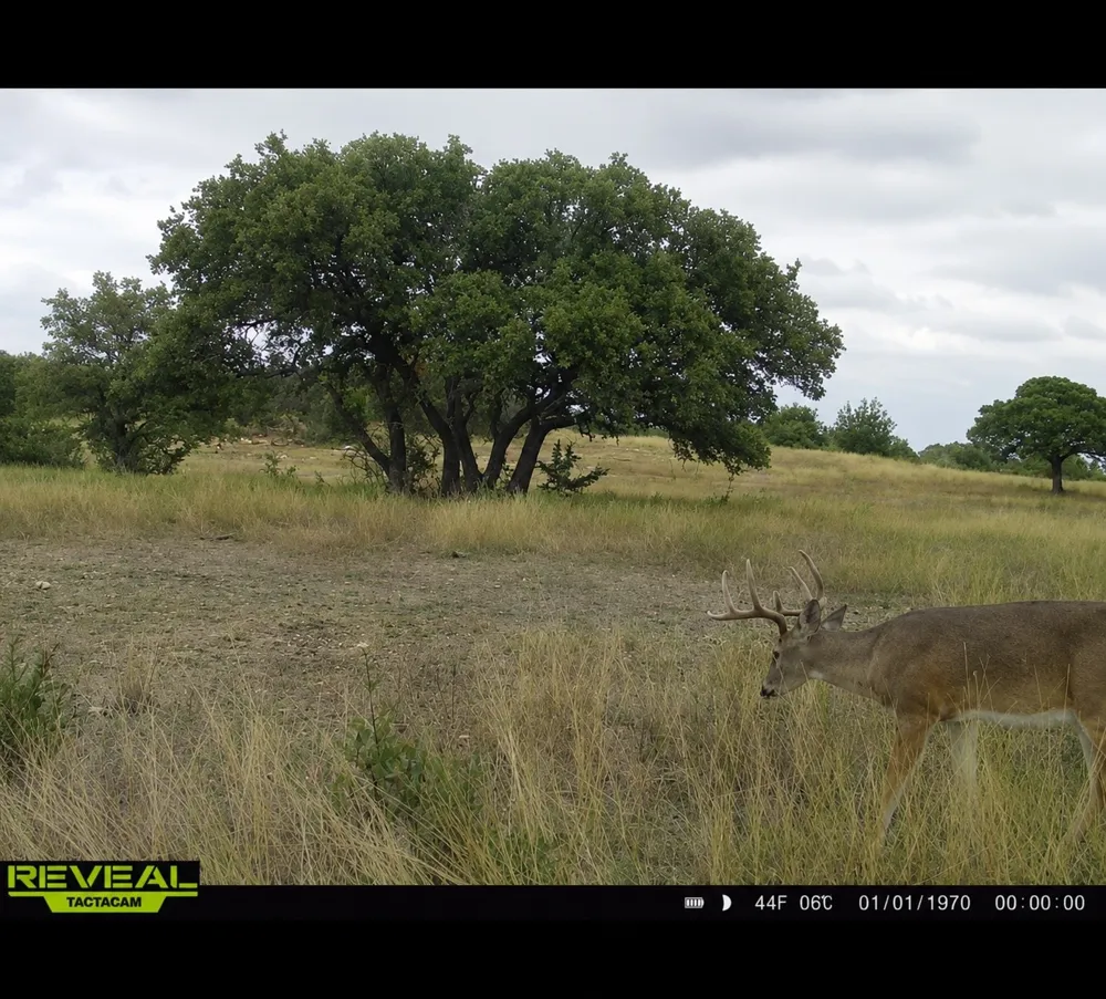1146 Hidden Cove Trail Glen Rose, TX 76043