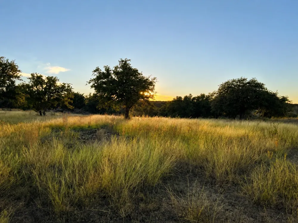 1146 Hidden Cove Trail Glen Rose, TX 76043