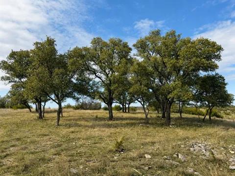 1146 Hidden Cove Trail