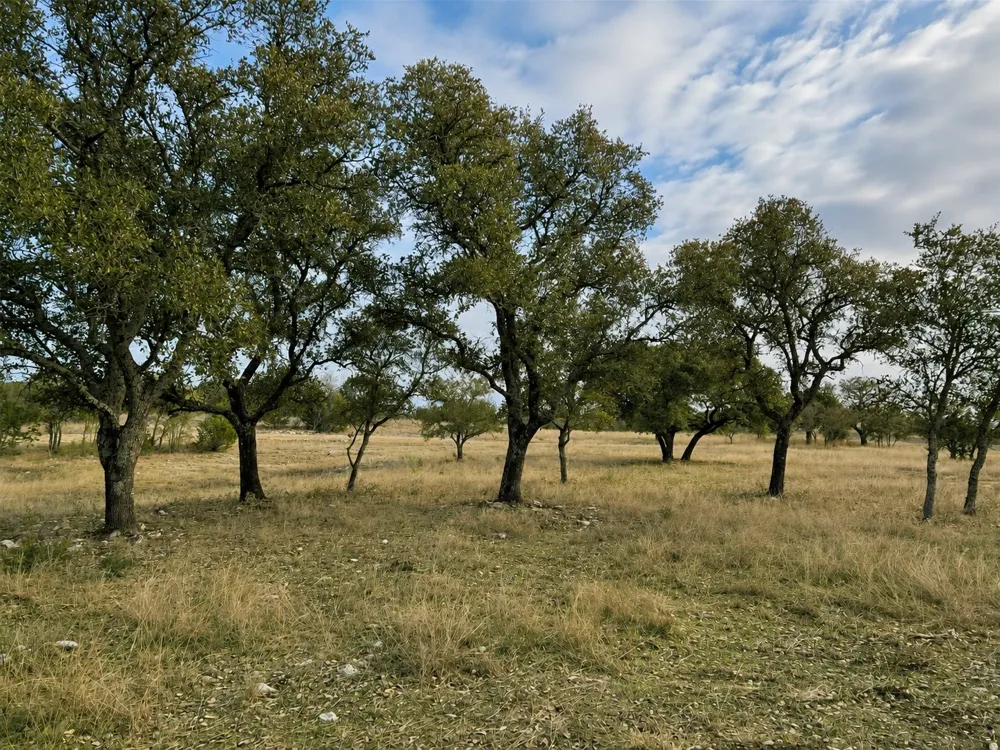 1146 Hidden Cove Trail Glen Rose, TX 76043