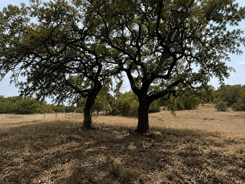 1146 Hidden Cove Trail Glen Rose, TX 76043