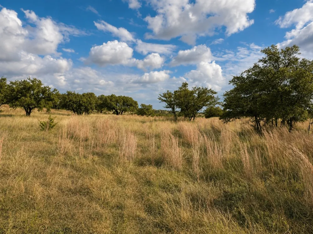 1146 Hidden Cove Trail Glen Rose, TX 76043