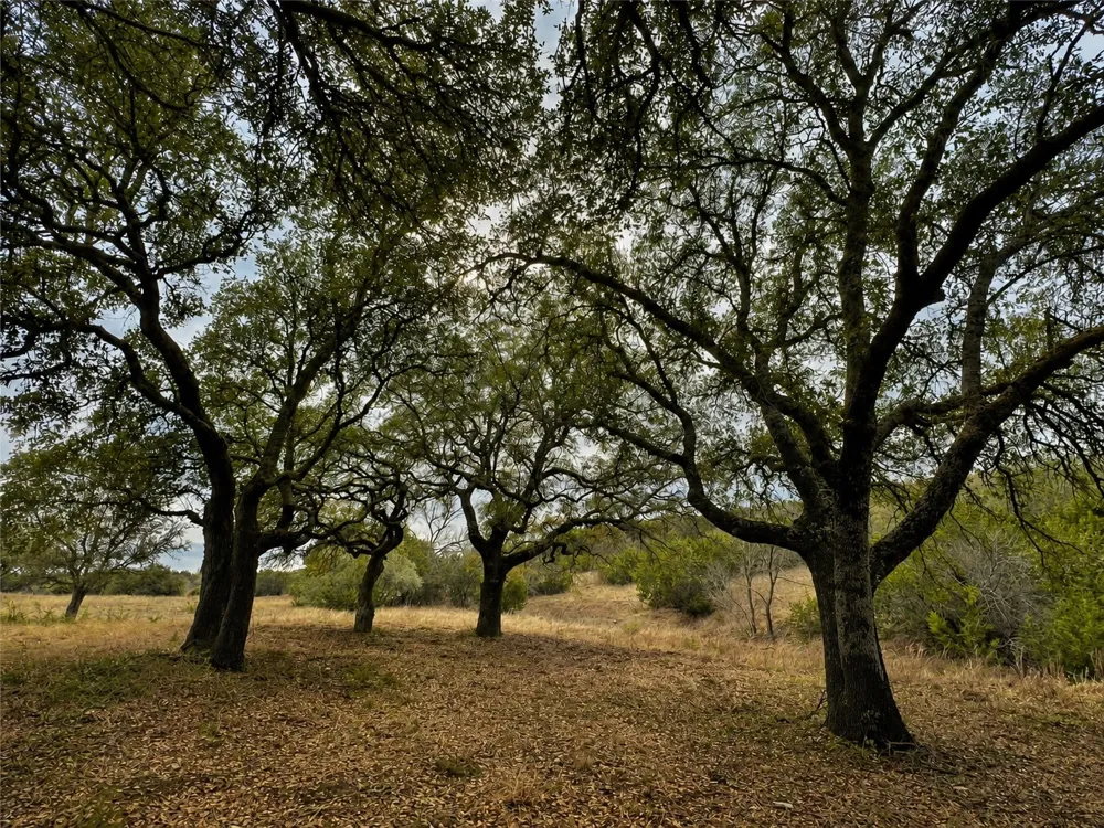 1146 Hidden Cove Trail Glen Rose, TX 76043