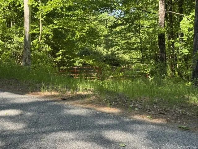 Pucker Street Call Listing Agent, NY 12885