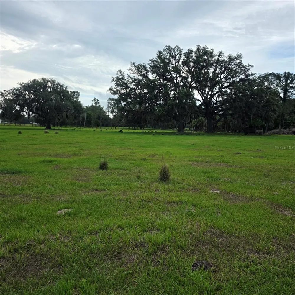 VERNON DAIRY Spring Hill, FL 34610