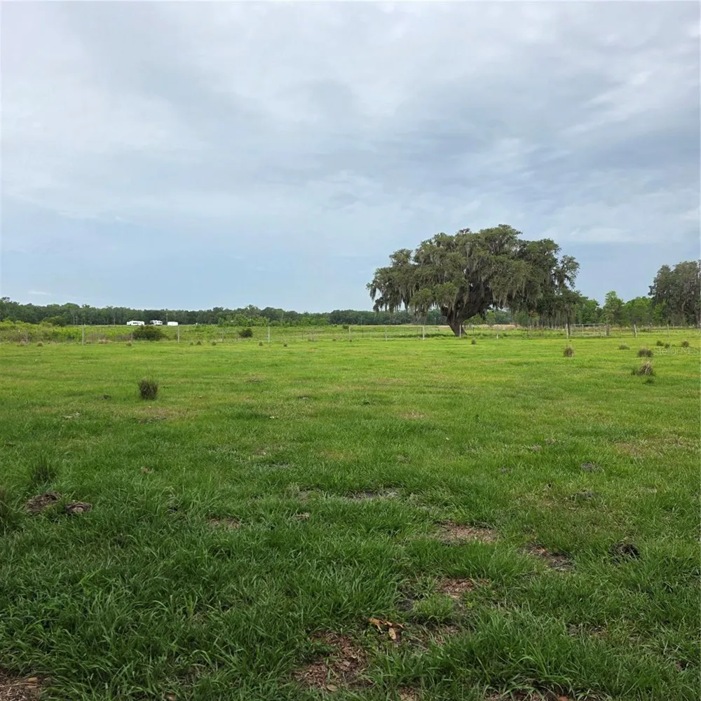 VERNON DAIRY Spring Hill, FL 34610