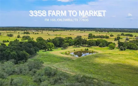 FM 166 (+/-54 acres)