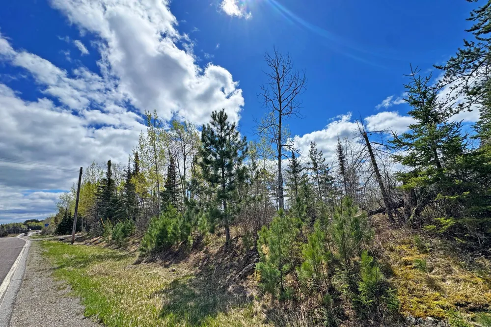 0000 County Highway 77 Tower, MN 55790