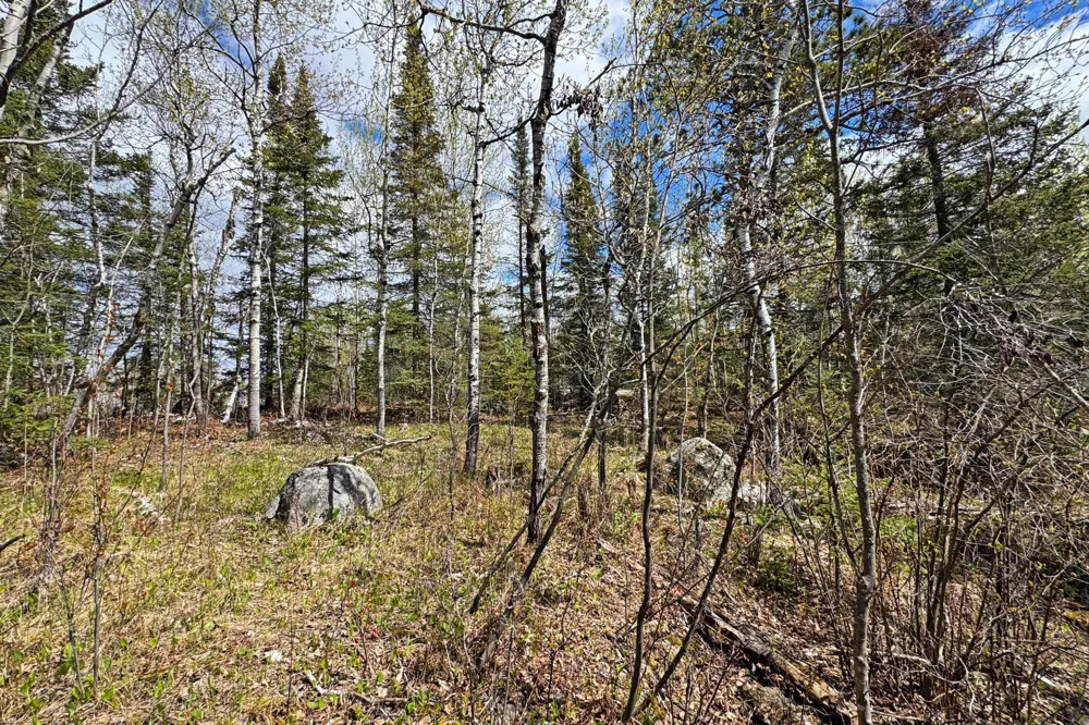 0000 County Highway 77 Tower, MN 55790